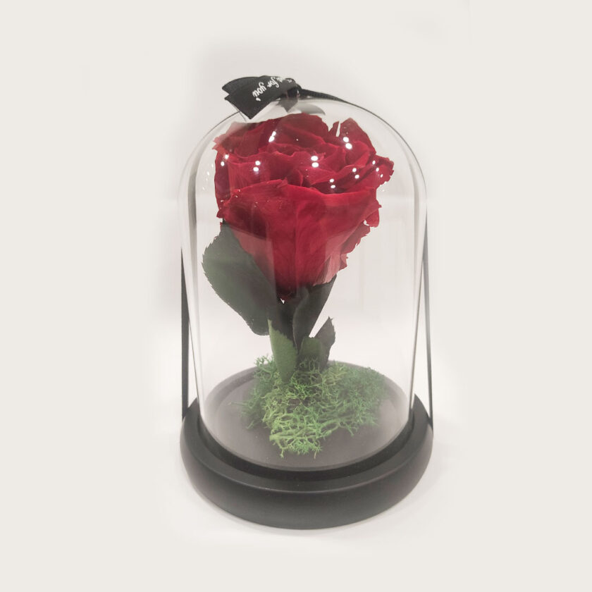 Forever Rose κόκκινου χρώματος σε γυάλινη καμπάνα (25cm)